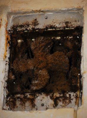 Прикрепленное изображение: 0894s.jpg